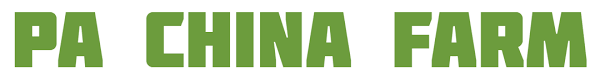 PA China partner logo